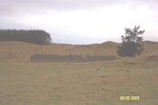 NC81SW0008r.jpg