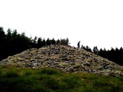 NC82NE0003 - view from NE.jpg