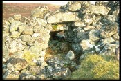 NC85SE0001 - Broch, The Borg, Strathhalladale, Farr 4.jpg