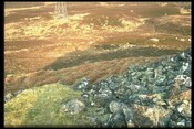 NC85SE0001 - Broch, The Borg, Strathhalladale, Farr 7.jpg
