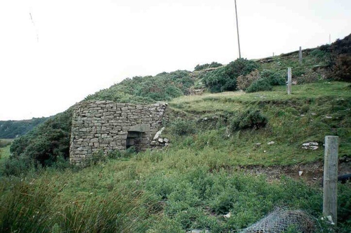 nc86ne0007.jpg