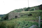 nc86ne0007.jpg