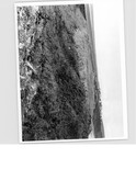 ND16NW0003BW01.pdf