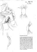 ND16NW0074AR01.pdf