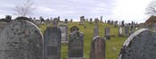 NC87NW0002a.jpg