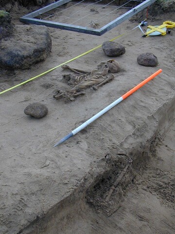 NC90NW0052 Humerus torso  femur.jpg