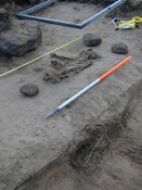 NC90NW0052 Humerus torso  femur.jpg