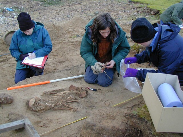 NC90NW0052 Lifting bones of torso.jpg