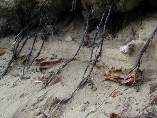 NC90SW0028 - 12.JPG