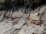NC90SW0028 - 12.JPG