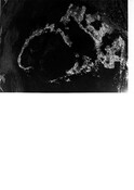 ND34SW00109 (OR)779.pdf