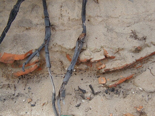 NC90SW0028 - 5.JPG