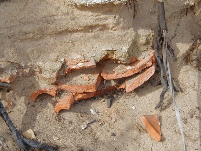 NC90SW0028 - 6.JPG