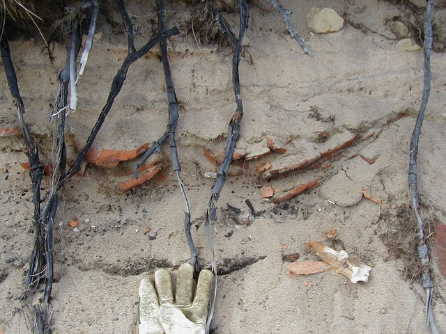 NC90SW0028 - 9.JPG