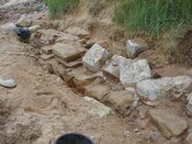 NC90SW0029 - 10.JPG