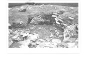 ND34SW0069BW01.pdf