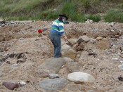 NC90SW0029 - 14.JPG