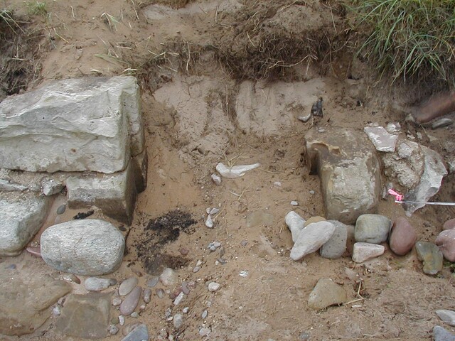 NC90SW0029 - 5.JPG
