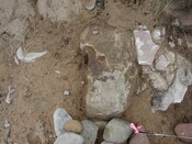 NC90SW0029 - 7.JPG