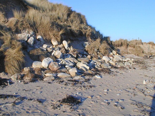 NC90SW0029c.jpg