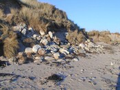 NC90SW0029c.jpg