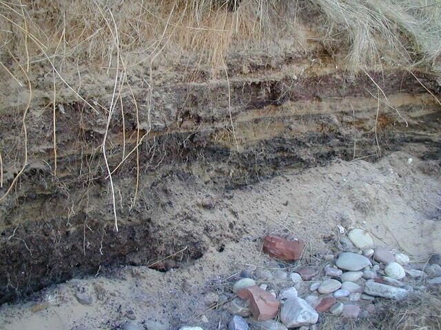 NC90SW0029f.jpg