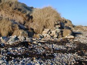 NC90SW0029h.jpg