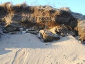 NC90SW0029k.jpg