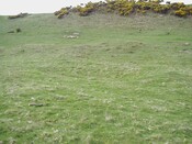 NC90SW0036 - 3.JPG