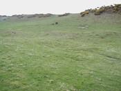 NC90SW0036 - 4.JPG