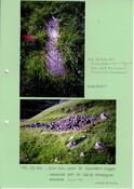 NG20NE0001 (OR)870.pdf