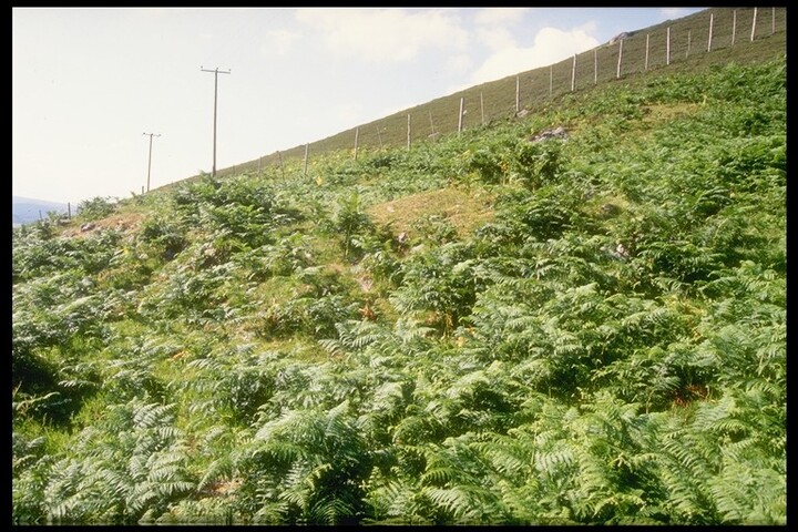 NC91NE0035 - Settlement, Badiepullacher.jpg