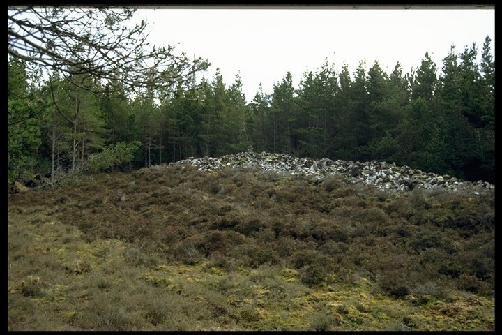 NC91NW0003 - Long Chambered Cairn, Kilearnan 1.jpg