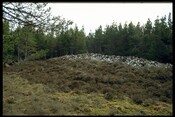 NC91NW0003 - Long Chambered Cairn, Kilearnan 1.jpg