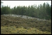 NC91NW0003 - Long Chambered Cairn, Kilearnan 2.jpg