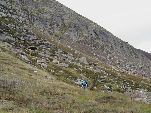 NC91SW0070 03.JPG