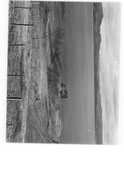 NG51SE0005BW01.pdf