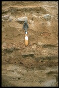 NC96NE0008 - Ard Marks, Dune Section, Cnoc Stanger 1.jpg