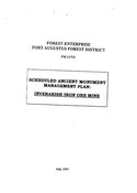 NG53NE0008RP01.pdf