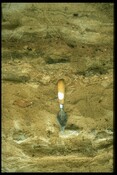 NC96NE0008 - Ard Marks, Dune Section, Cnoc Stanger 2.jpg