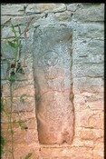 NC96NE0009 - Pictish Symbol Stone, Sandside House, Reay.jpg