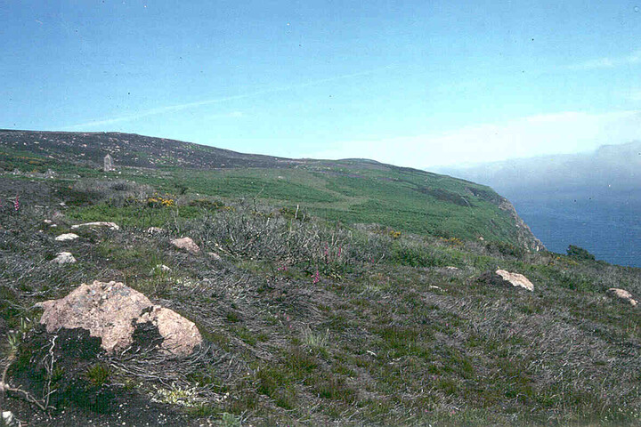 ND01NE0002.jpg