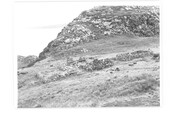 NG65NW0001BW01.pdf