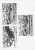 NG70SW0012BW01.pdf