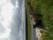 ND05NE0102HAW2.JPG