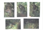 NG82SW0023CP01.pdf