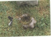 NG84SW0001CP01.pdf