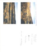NG84SW0013CP01.pdf