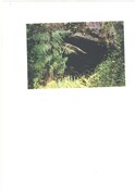 NG84SW0038CP01.pdf