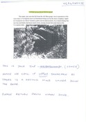 NG84SW0038MI01.pdf